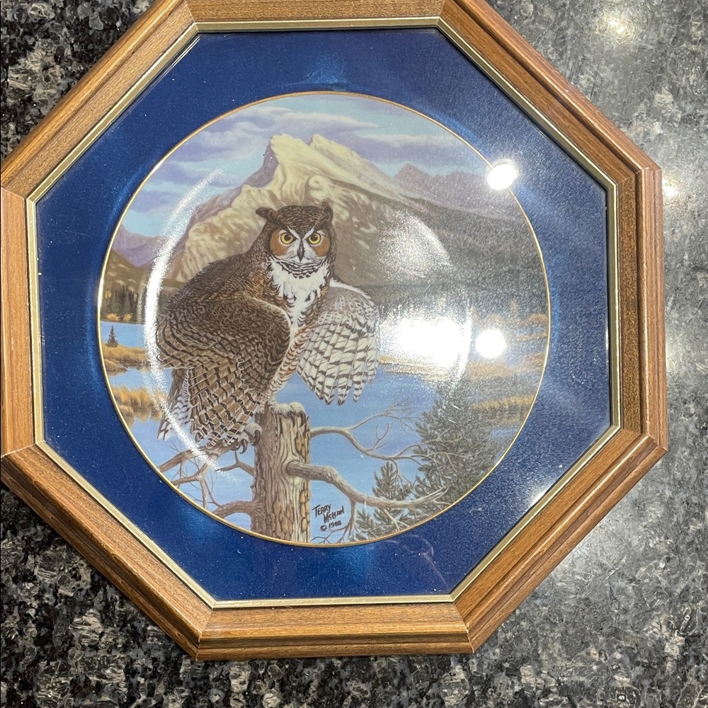 Octagonal Owl Decorative Plate with Wooden Frame